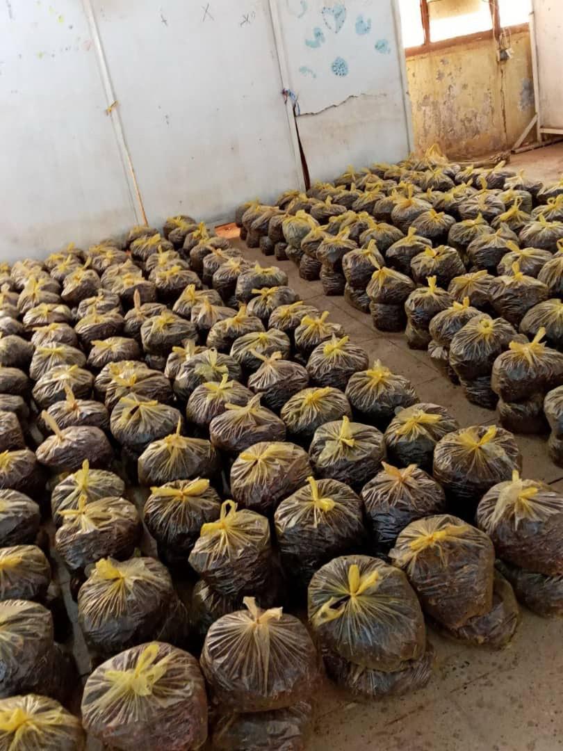 صورة من فعالية حقيبة رمضان 2